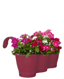 Read more about the article hook rail planter
