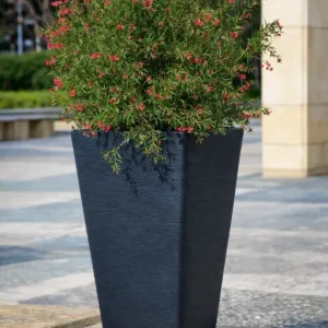 Jasmine square pot