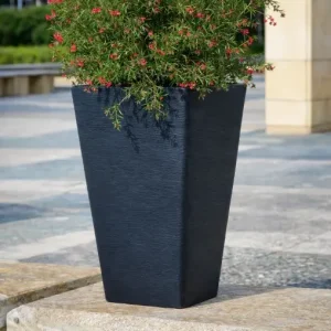 עציץ יסמין