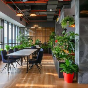 Read more about the article עציצים למשרד