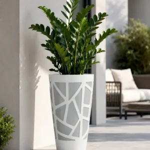 Salina pot
