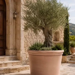 Livorno Terracotta Pot