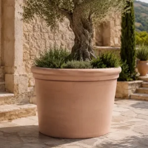 עציץ חרס ליבורנו