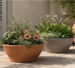 קערה חרס ליסיה